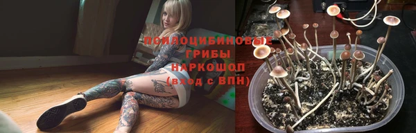 тгк Абаза
