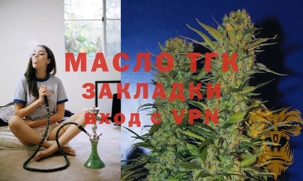 тгк Абаза