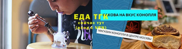 тгк Абаза