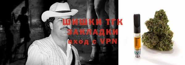 прущие грибы Алзамай