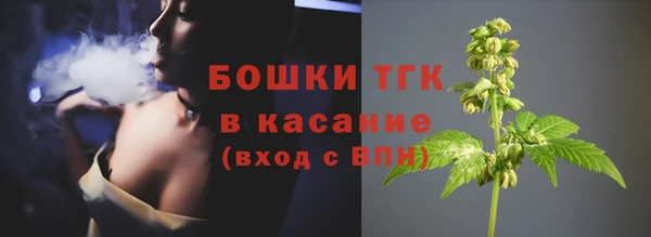 тгк Абаза