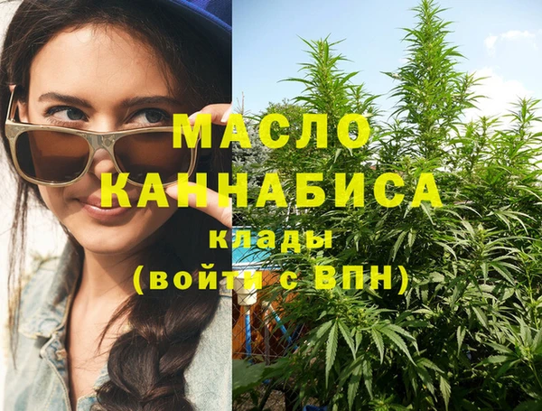 тгк Абаза