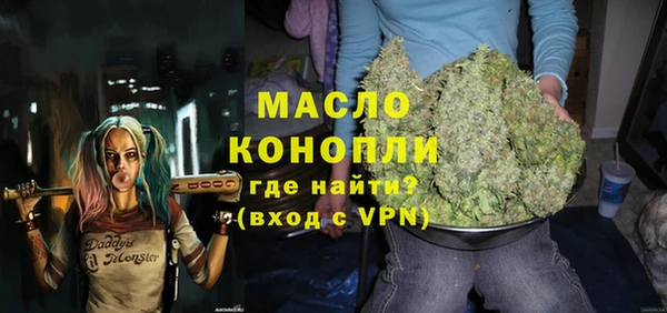 тгк Абаза