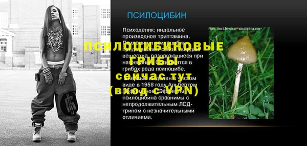 амф Абдулино