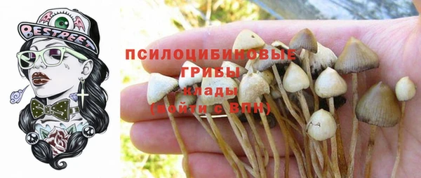 скорость Абинск