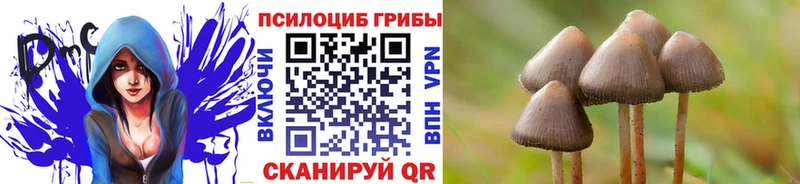 blacksprut зеркало  Стрежевой  Псилоцибиновые грибы MAGIC MUSHROOMS 